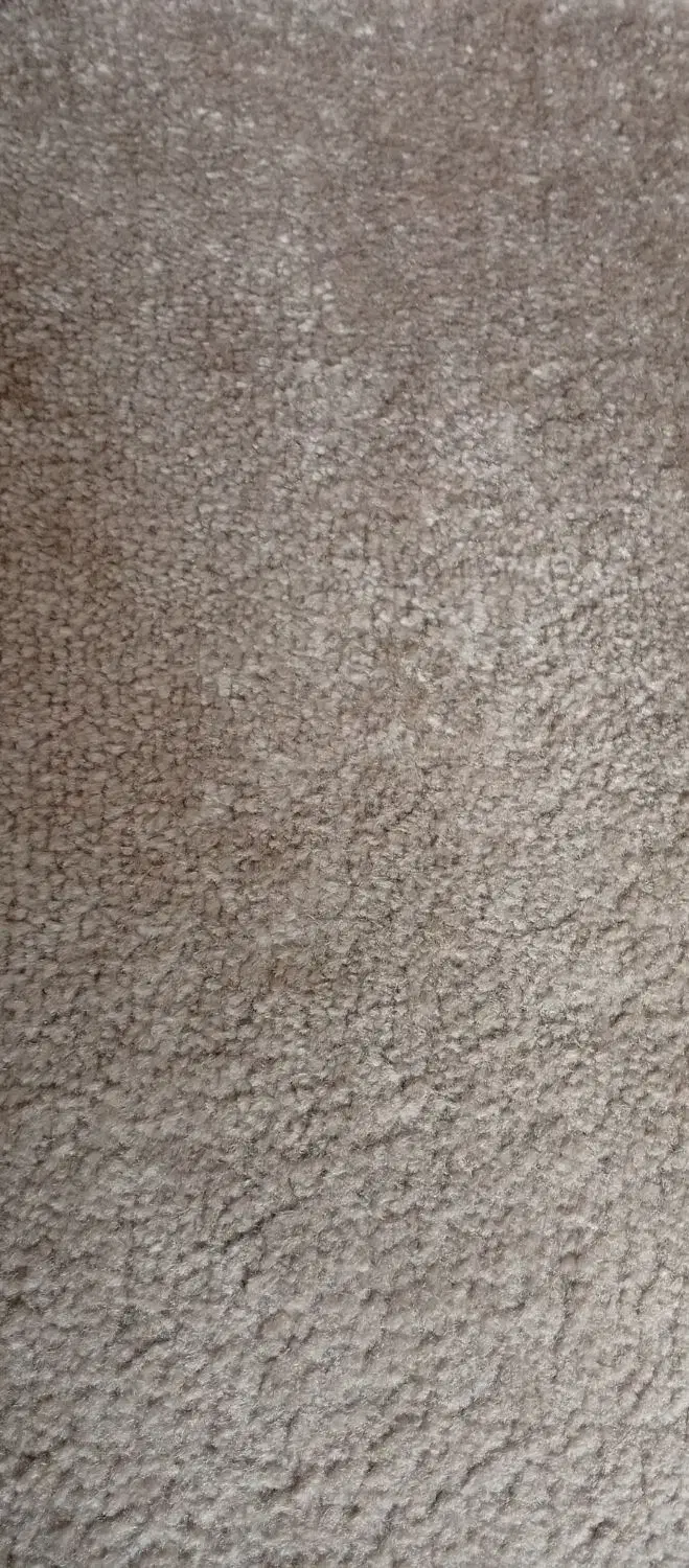 پالاز موکت|موکت|شوط, |دیوار