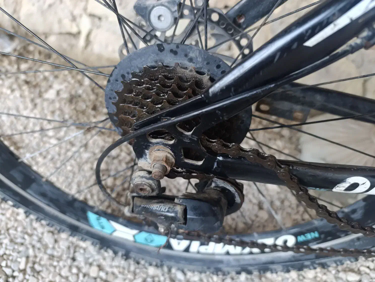 دوچرخه المپیا|دوچرخه، اسکیت، اسکوتر|خورموج, |دیوار