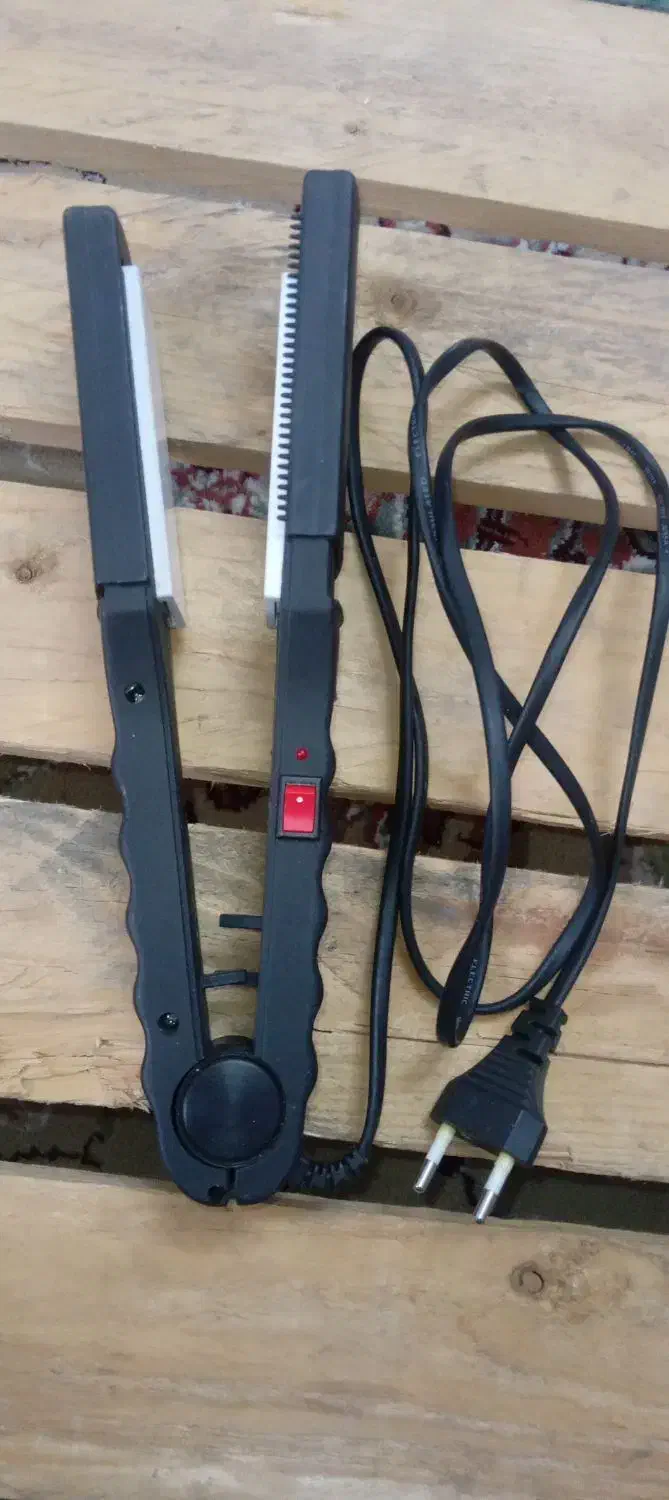 هلندی|پرنده|رودسر, |دیوار