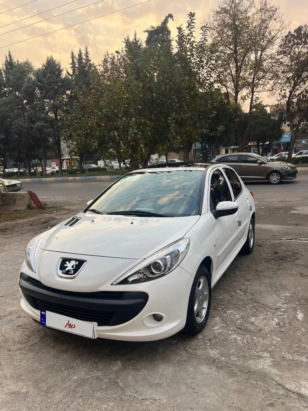 207پانورما|خودرو سواری و وانت|پارس‌آباد, |دیوار