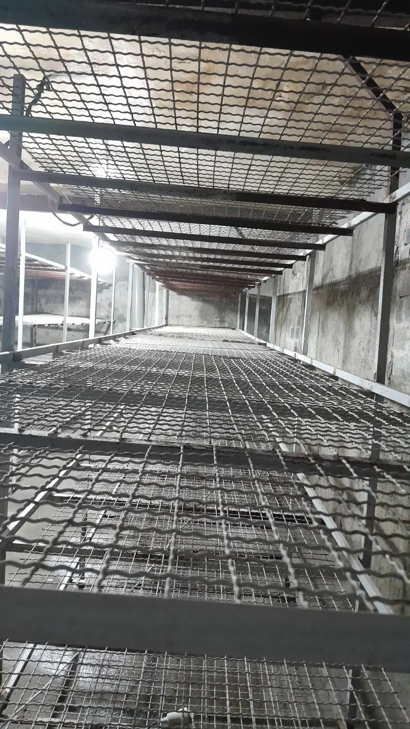 سالن قارچ اجاره ایی یا شراکتی|اجارهٔ مغازه و غرفه|رودهن, |دیوار