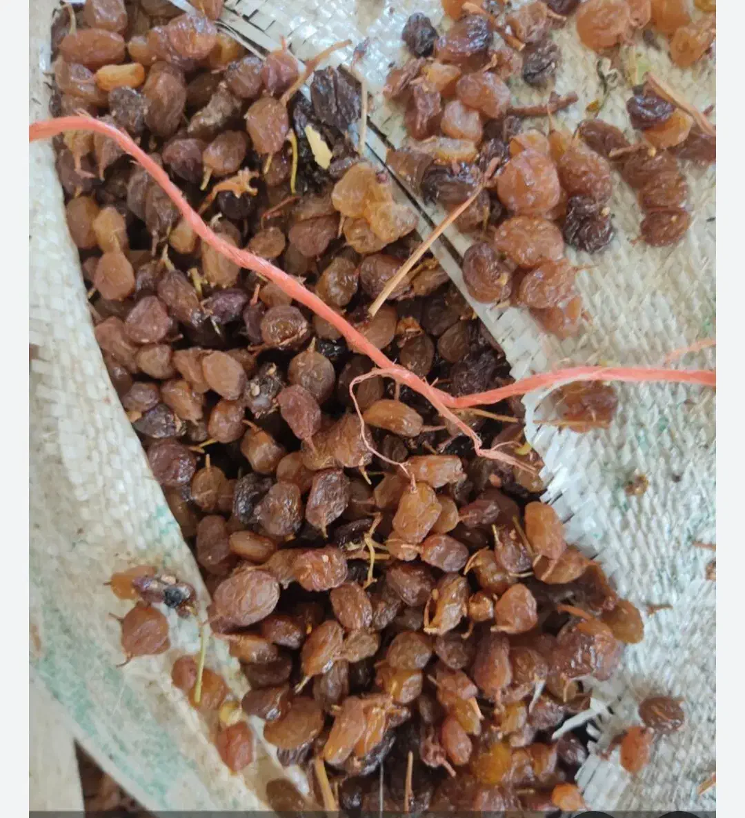 کشمش تیزآبی|خوردنی و آشامیدنی|دشتابی, |دیوار