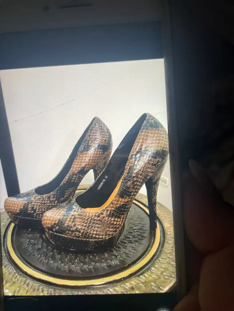 کفش مجلسی|کیف، کفش، کمربند|تهران, پونک|دیوار