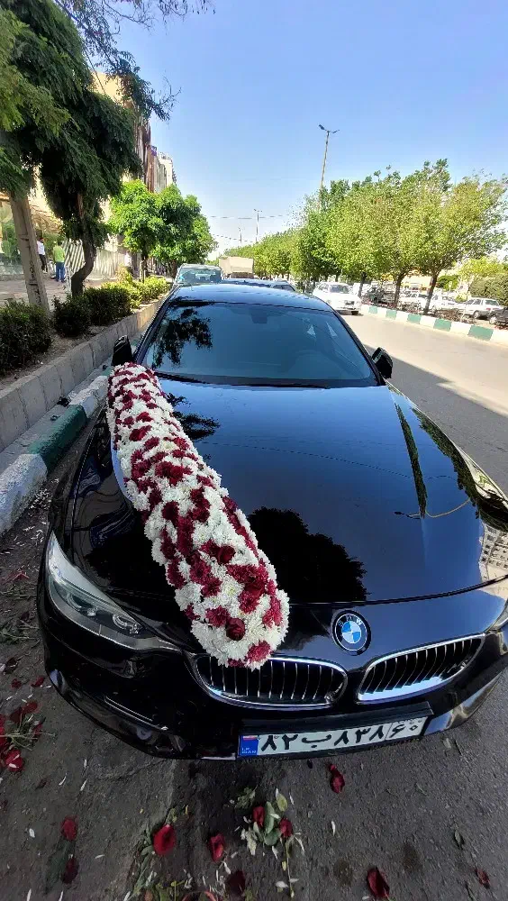 خاصترین ها|گل و گیاه طبیعی|قزوین, |دیوار