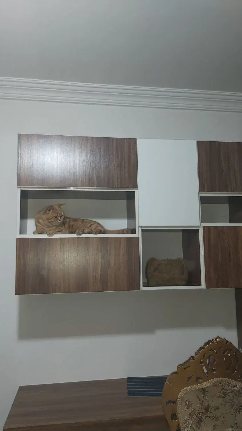 تخت خواب یک نفره|تخت و سرویس خواب|میاندوآب, |دیوار