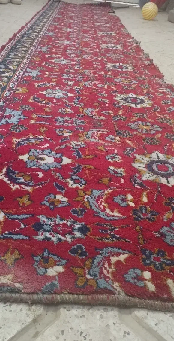 کناره|گلیم، جاجیم، گبه|مشهد, شیرحصار|دیوار