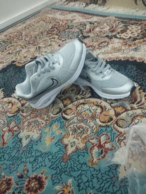 کفش|کیف، کفش، کمربند|مشهد, طبرسی شمالی|دیوار