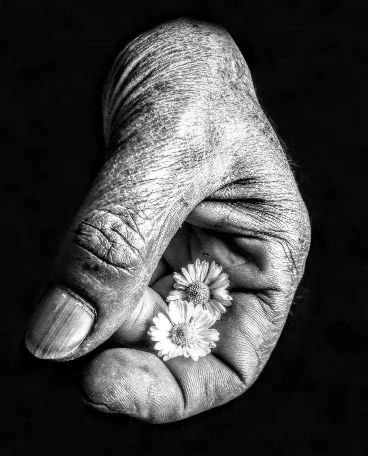 پرستار یا خدمتکار|استخدام سرایداری و نظافت|باقرشهر, |دیوار