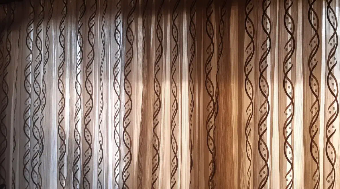 پرده دو تیکه|پرده، رانر، رومیزی|بندرعباس, |دیوار