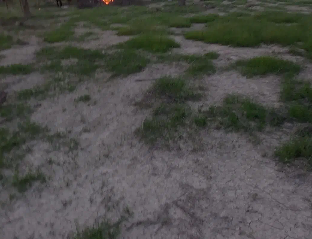 فروش زمین برای خونه باغ|فروش زمین و ملک کلنگی|بندر گناوه, |دیوار