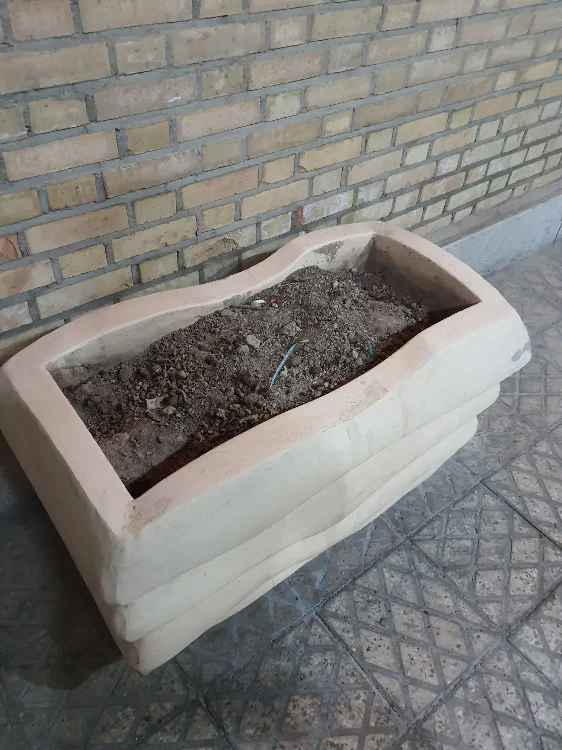 گلدان بزرگ|گل و گیاه طبیعی|اصفهان, جلفا|دیوار