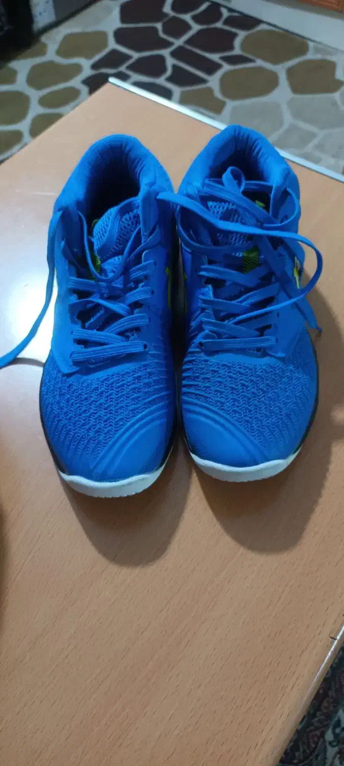 کتونی والیبال آسیکس|تجهیزات ورزشی|پاکدشت, پاکدشت (مامازند)|دیوار