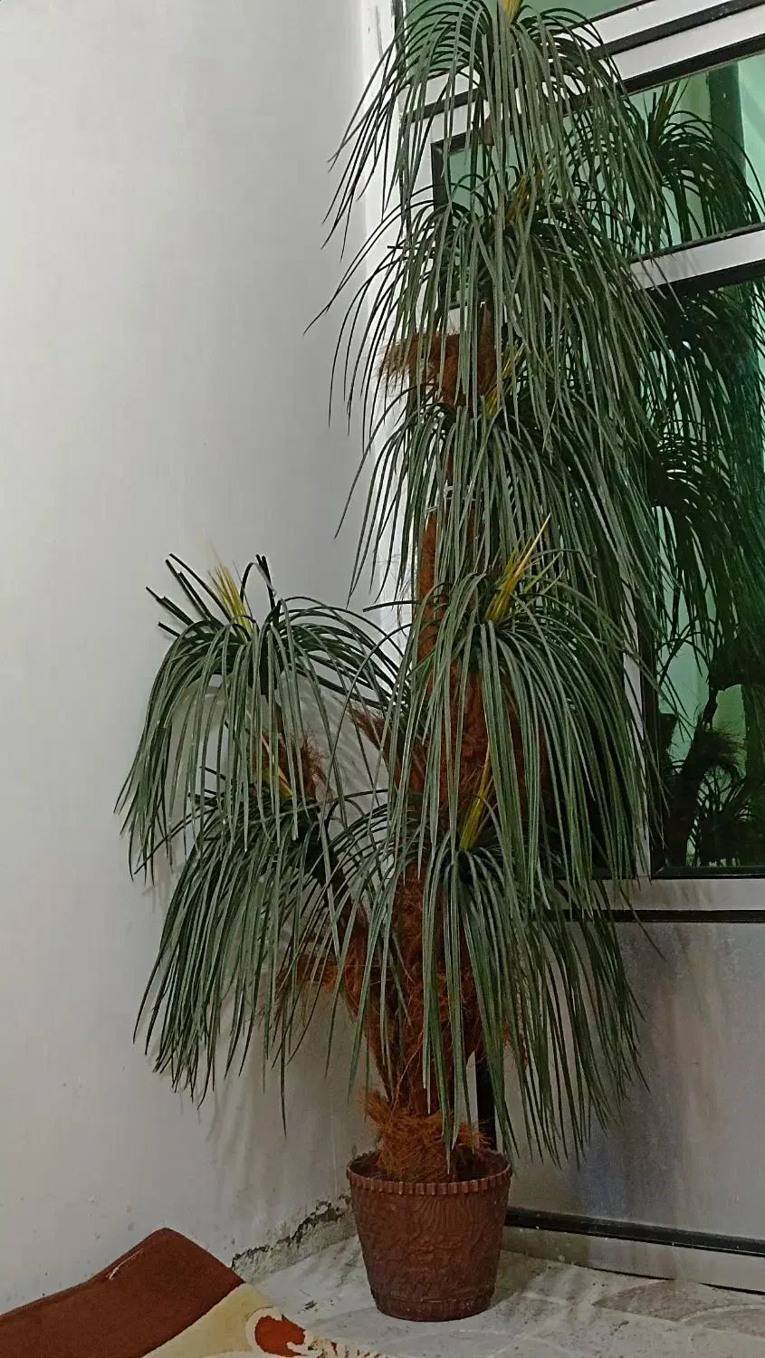 درخت نخل|گل مصنوعی|مریوان, |دیوار