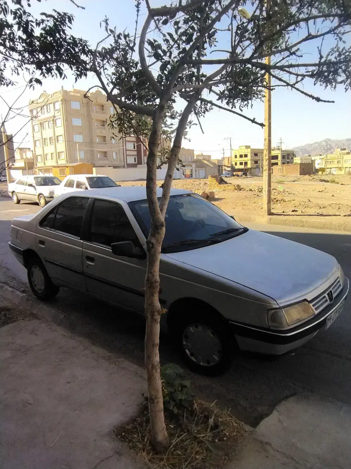 پژو 89 دوگانه کارخونه|خودرو سواری و وانت|بیرجند, |دیوار