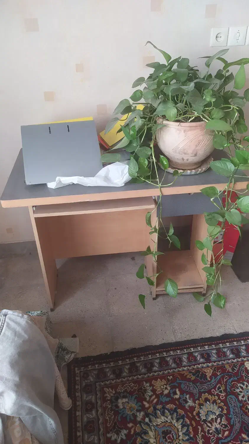 لوازم خانگی|سایر لوازم برقی|ری, دیلمان|دیوار