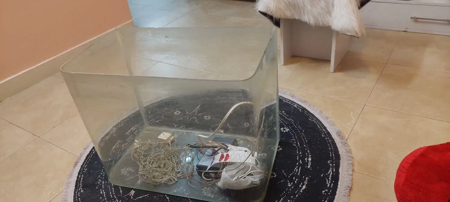 آکواریوم شیشه خم|ماهی|دورود, |دیوار