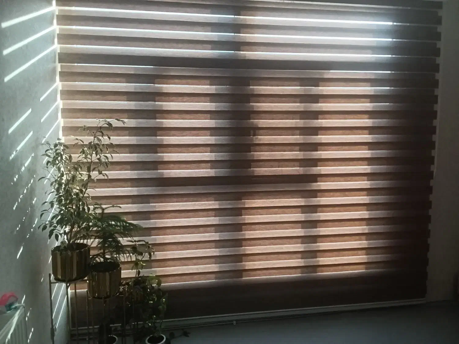 پرده زبرا|پرده، رانر، رومیزی|کرمانشاه, |دیوار