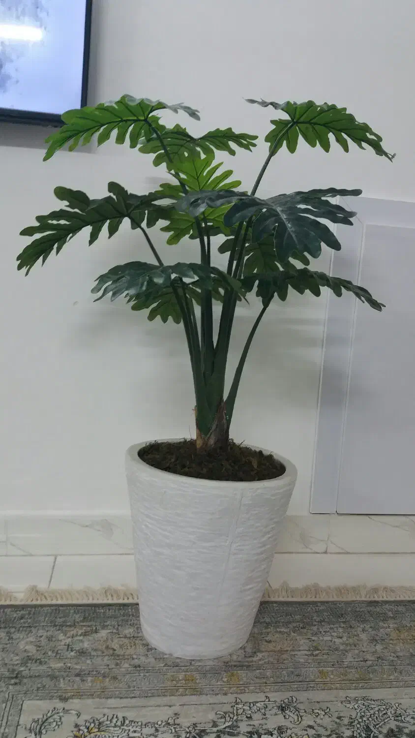 گل مصنوعی|گل مصنوعی|مشهد, پورسینا|دیوار