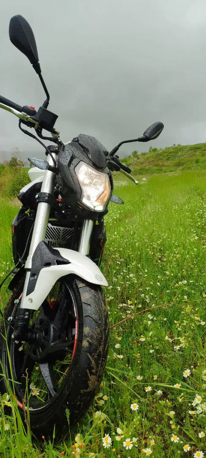 بنلی 250|موتورسیکلت|همدان, |دیوار