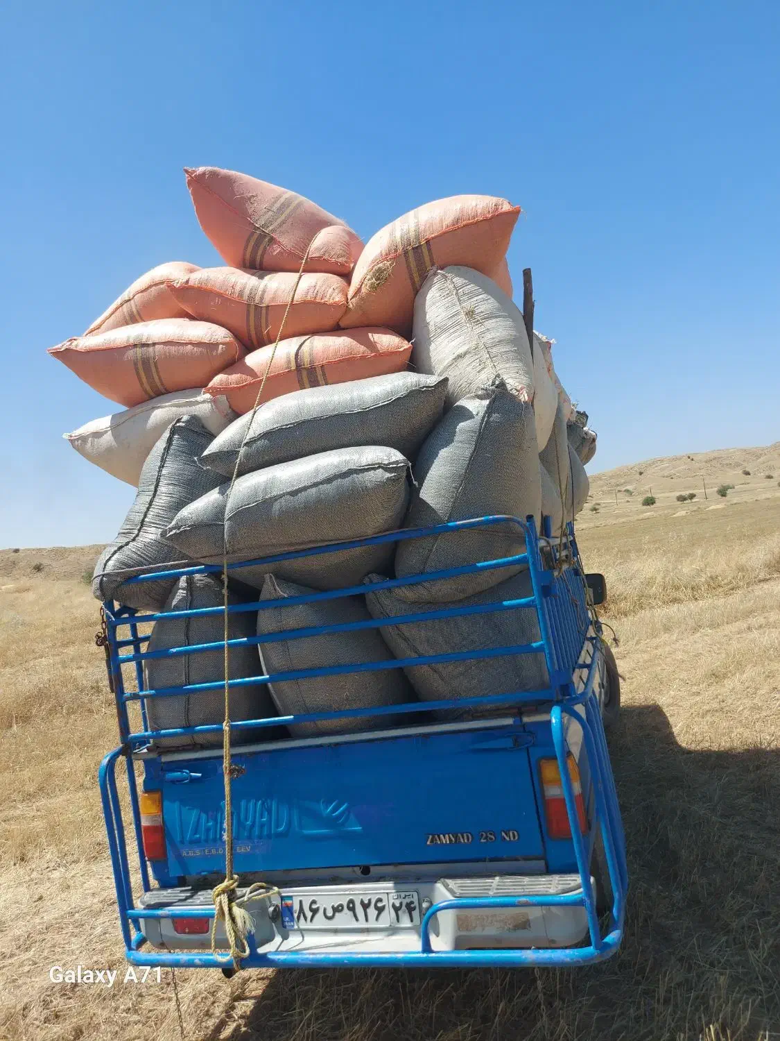 کاه دیم درجه یک|خدمات باغبانی و درختکاری|مسجد سلیمان, |دیوار