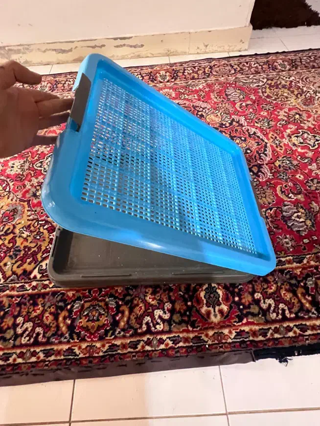 پد ، سبد ادرار سگ و گربه|لوازم جانبی حیوانات|شاهین‌شهر, مخابرات (شهید بهشتی)|دیوار
