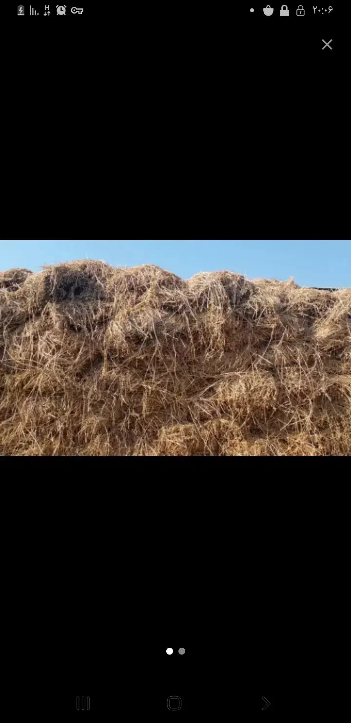 یونجه چین اخر|لوازم جانبی حیوانات|قره ضیاالدین, |دیوار