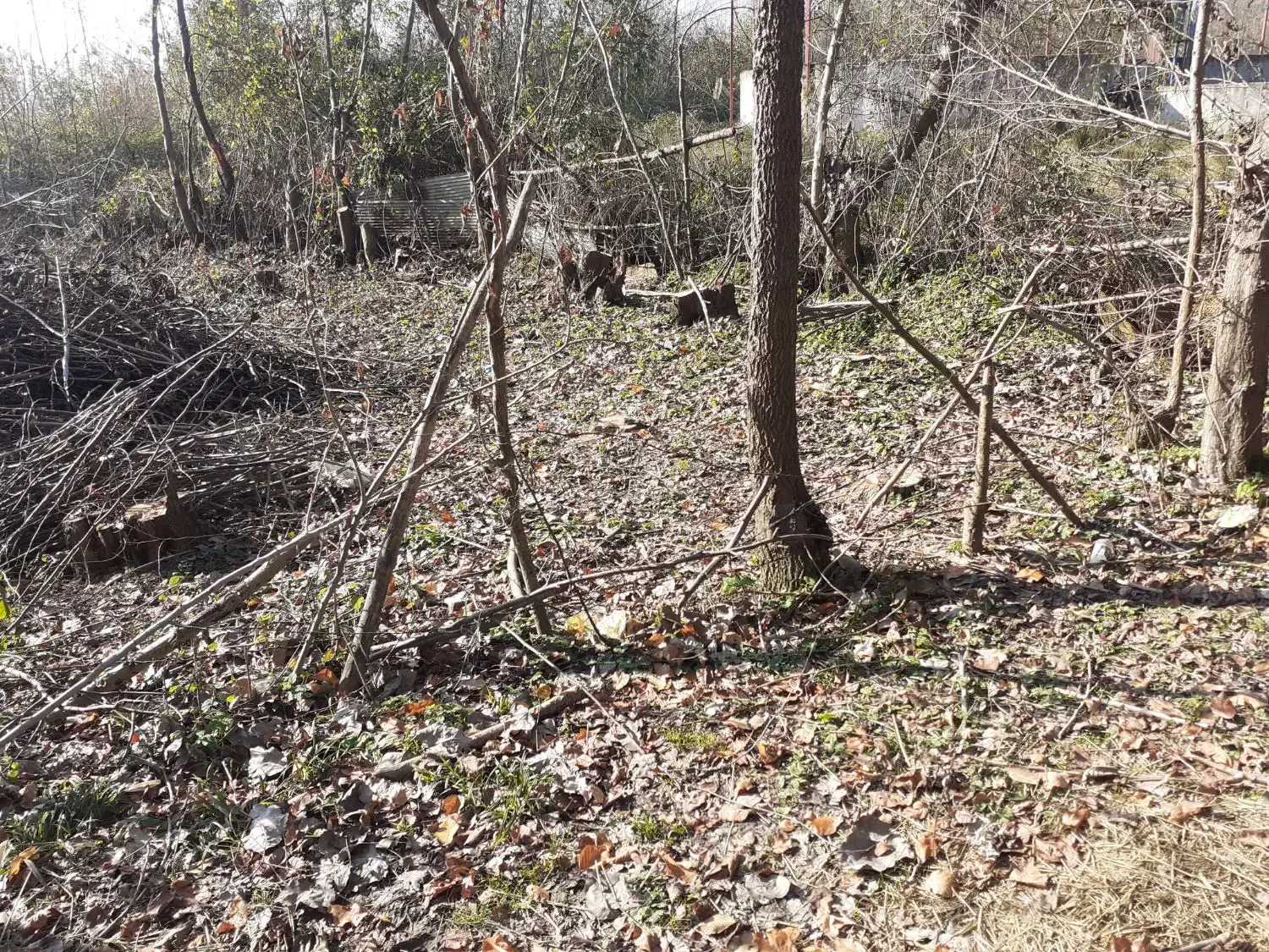 ۲۸۵متر زمین روستایی با نامه بنیاد|فروش زمین و ملک کلنگی|تهران, جنت‌آباد جنوبی|دیوار