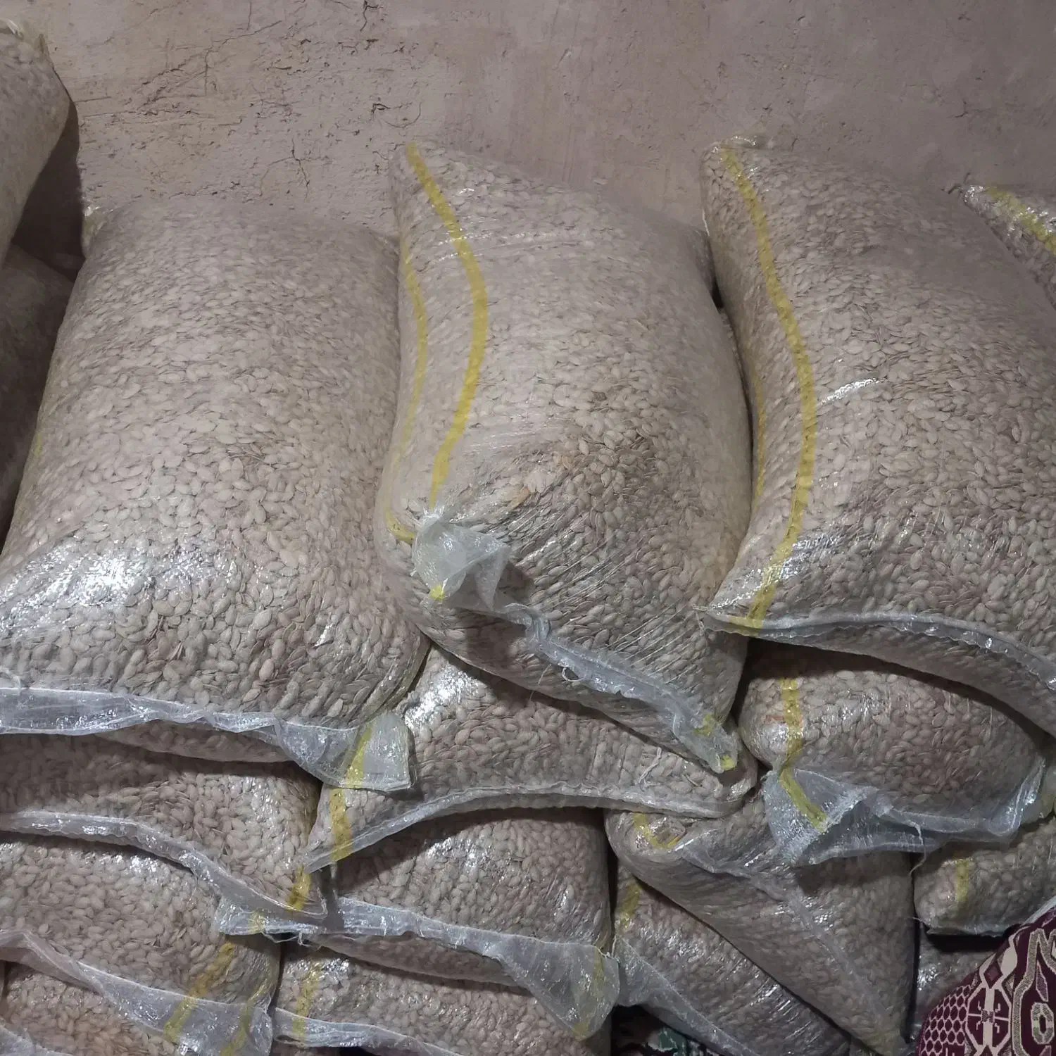 تخم کدو|خوردنی و آشامیدنی|پادنا, |دیوار