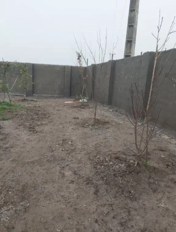 سیمانکاری|خدمات پیشه و مهارت|لاهیجان, امیرشهید|دیوار