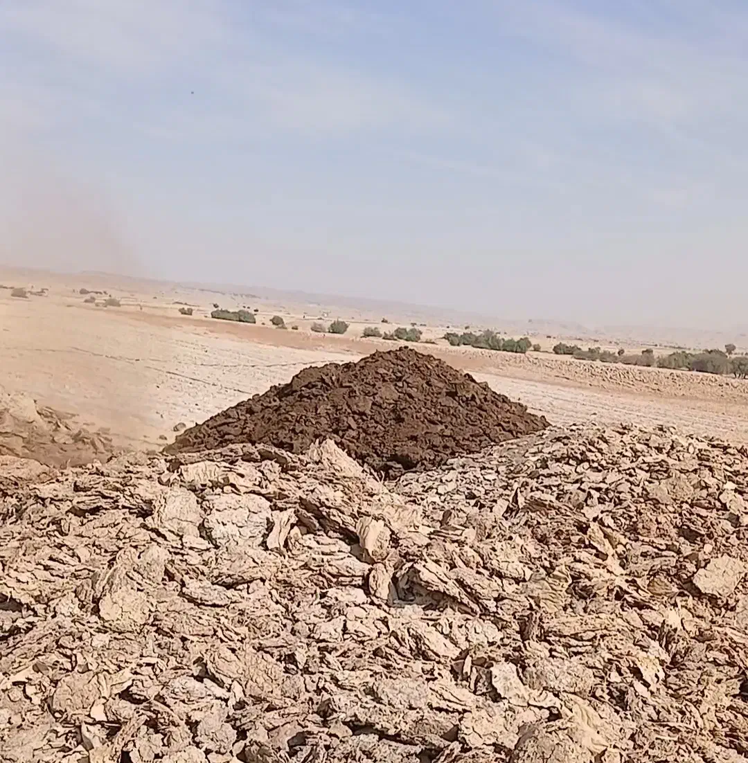 پخش و عرضه کود گاو صنعتی.|خدمات باغبانی و درختکاری|وحدتیه, |دیوار