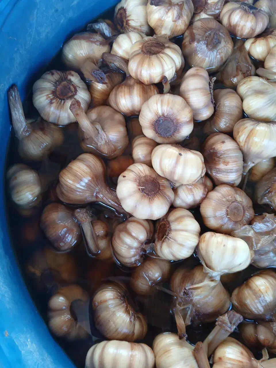 فروش عمده محصولات زیتون طارم|خوردنی و آشامیدنی|آمل, |دیوار