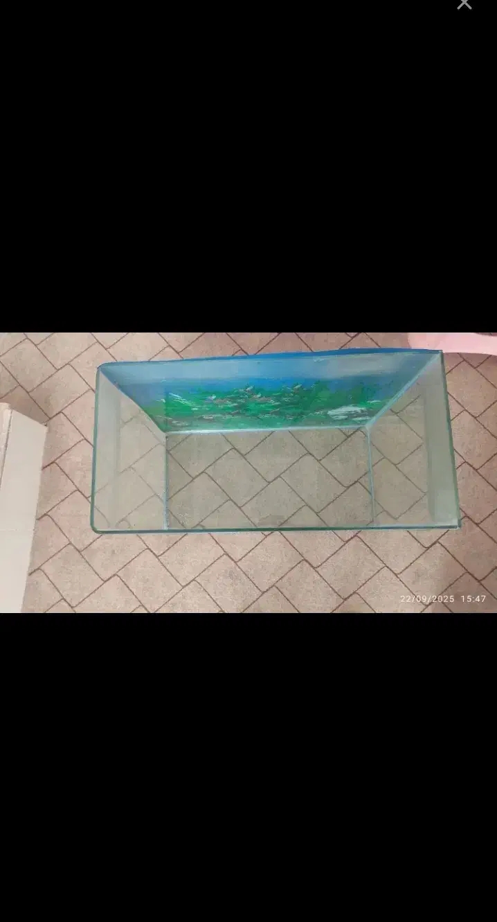 آکواریوم به همراه سنگ و تزیینات و گرم کن|ماهی|قیدار, |دیوار