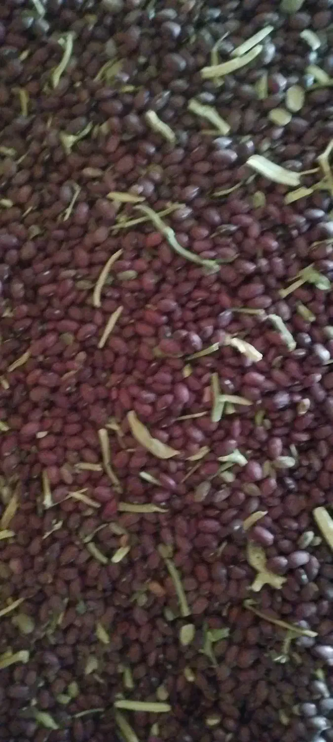 فروش لوبیا قرمز|عمده‌فروشی|فامنین, |دیوار