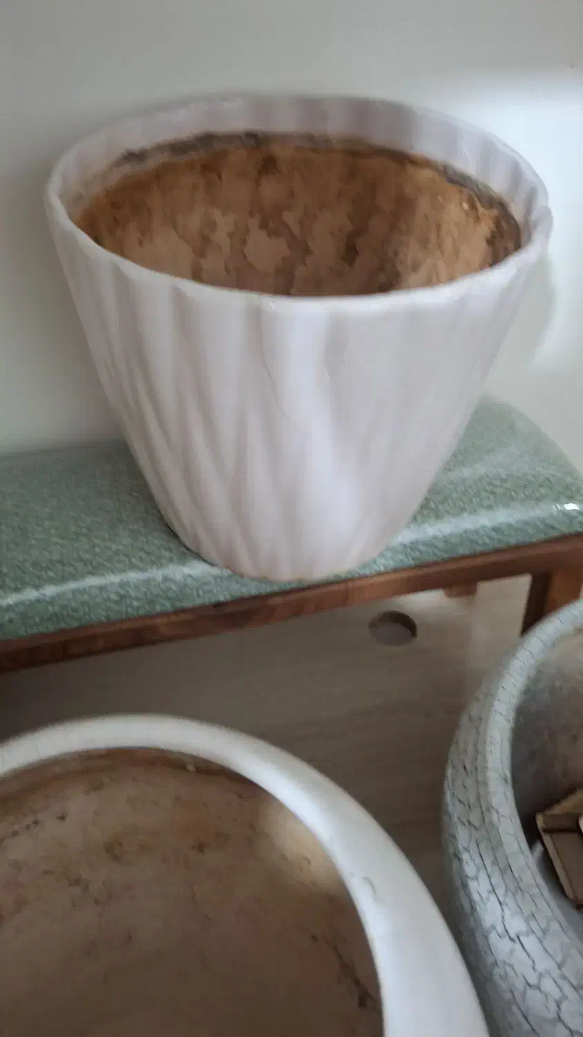 س عدد گلدون|گل و گیاه طبیعی|نیشابور, گنبد سبز|دیوار