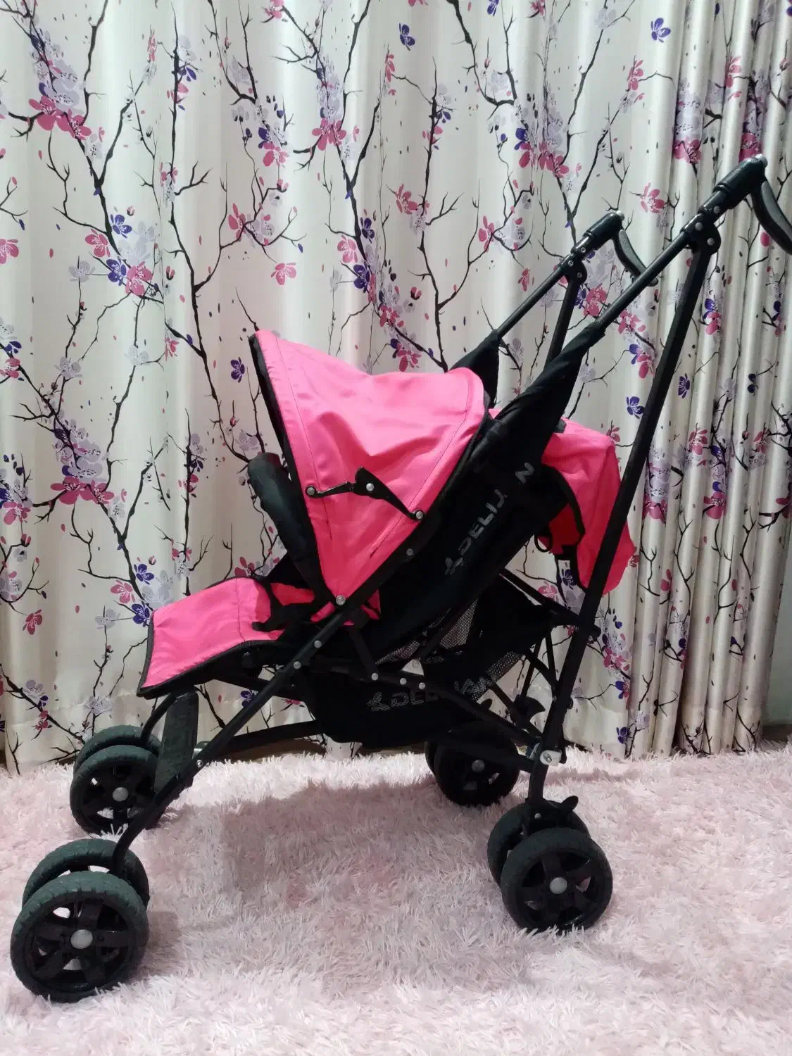 کالسکه دلیجان|کالسکه و لوازم جانبی|رویان, |دیوار