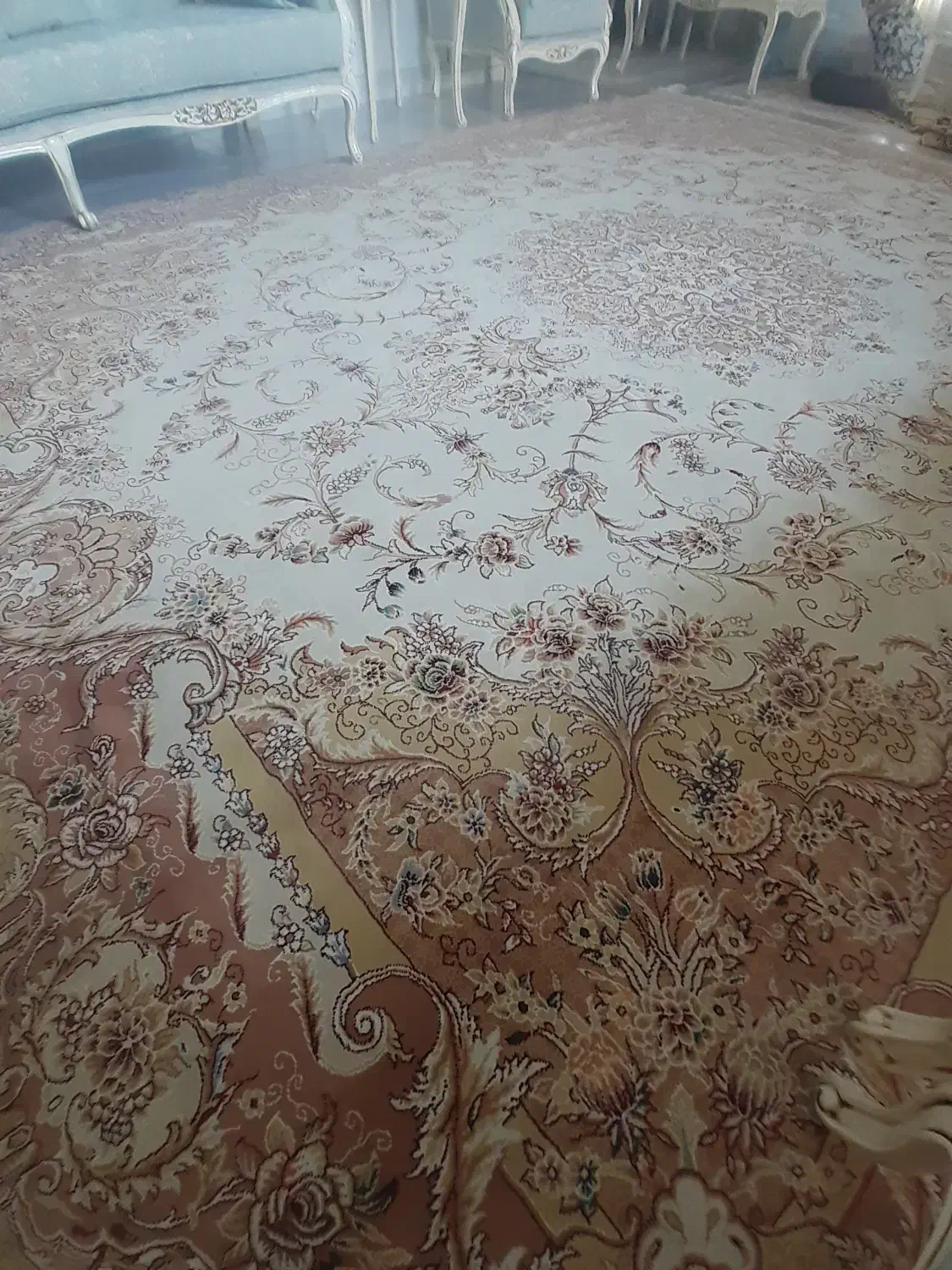 فرش ۱۲ متری|فرش|آستارا, |دیوار