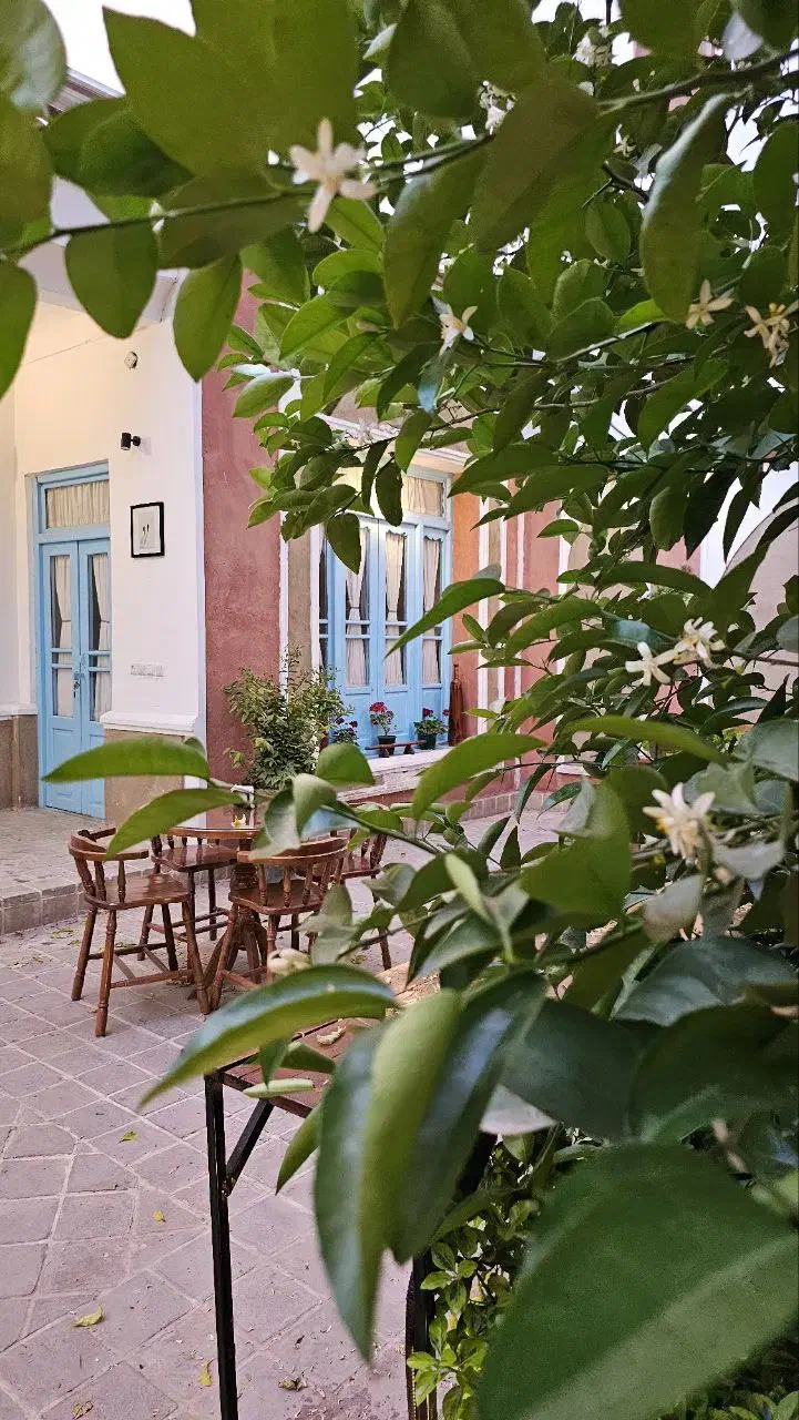 نیروی کار اموز خانم برای کافه|استخدام خدمات فروشگاه و رستوران|اصفهان, جلفا|دیوار
