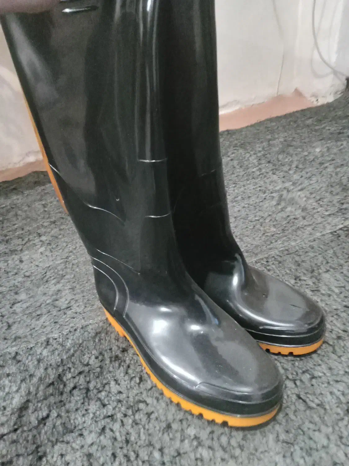 چکمه|کیف، کفش، کمربند|رشت, کوی قدس|دیوار