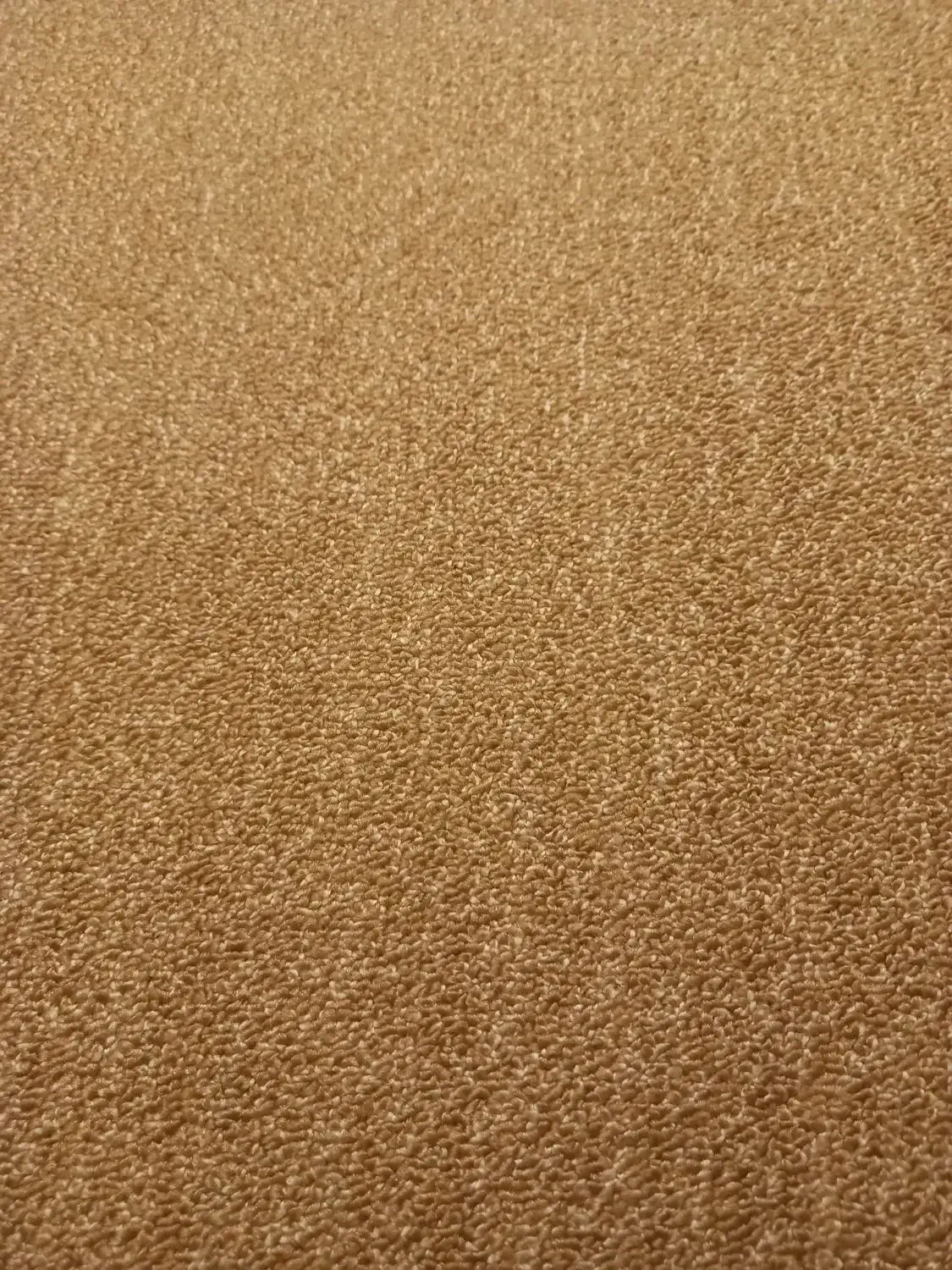 پالاز موکت ۲۰ متر|موکت|ارومیه, |دیوار