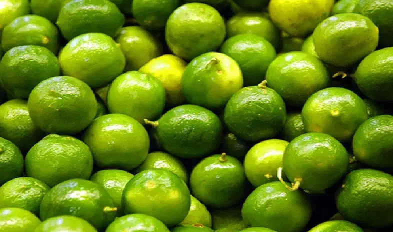 لیموشیرازی درجه ۱|خوردنی و آشامیدنی|قم, آزادگان|دیوار
