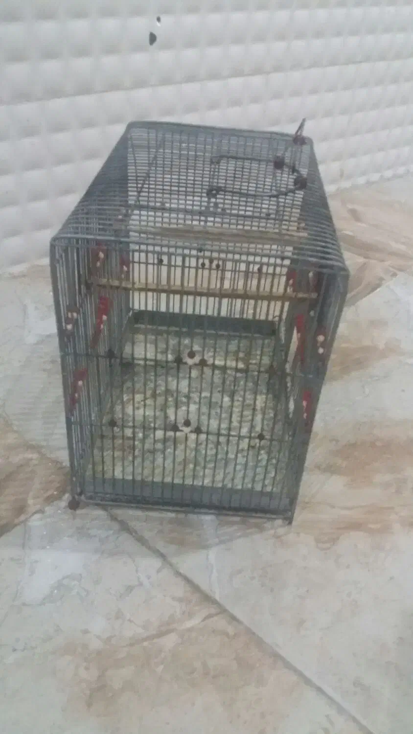 فروش قفس پرنده|لوازم جانبی حیوانات|مهر, |دیوار