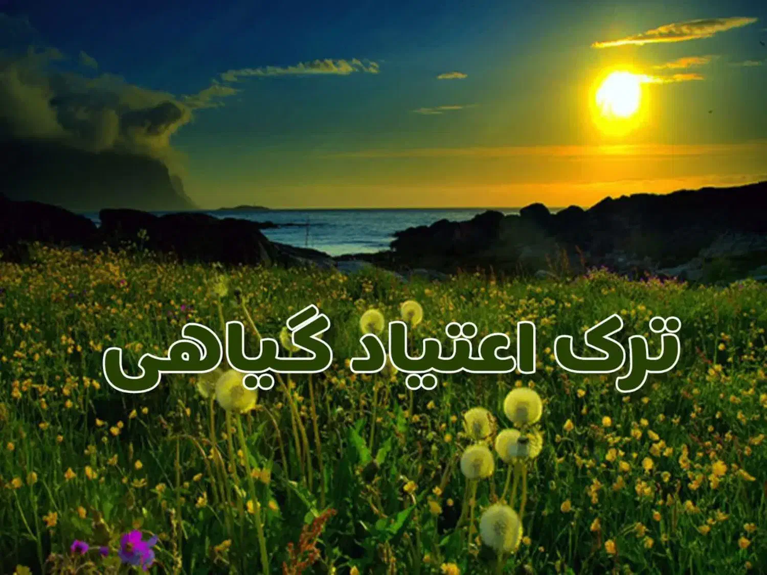 ترک ب۲ متادون|خدمات آرایشگری و زیبایی|زنجان, |دیوار