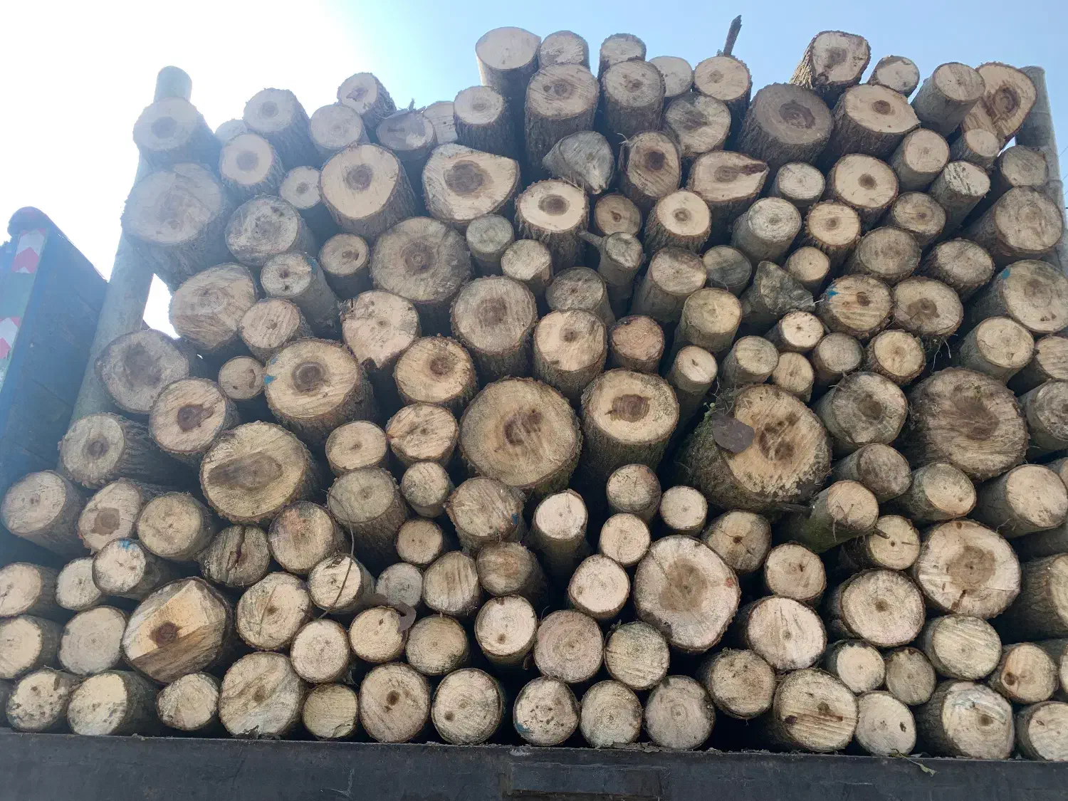 کار|استخدام صنعتی، فنی، مهندسی|اسالم, |دیوار