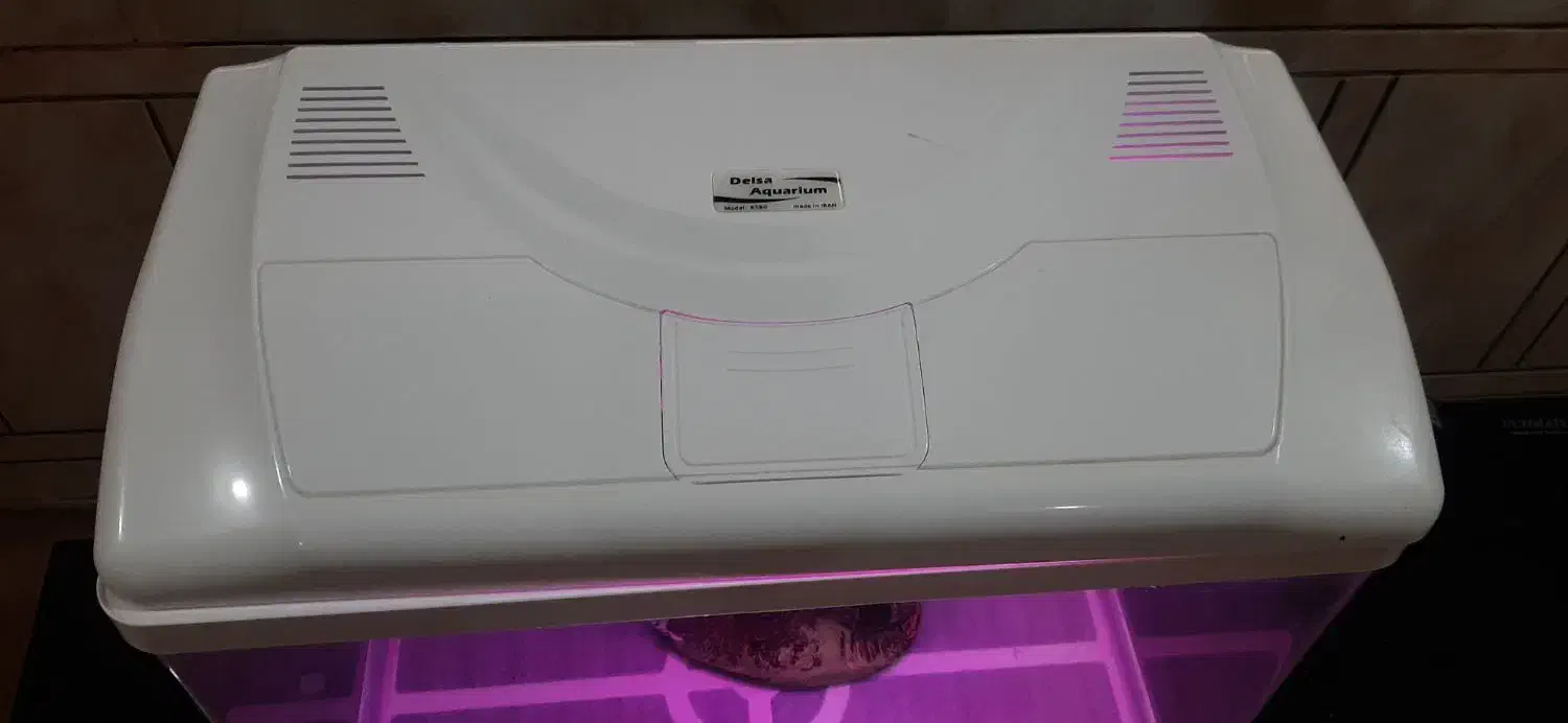 آکواریوم تمیز شرکتی دلسا بافیلترو ماهی|ماهی|رامهرمز, |دیوار