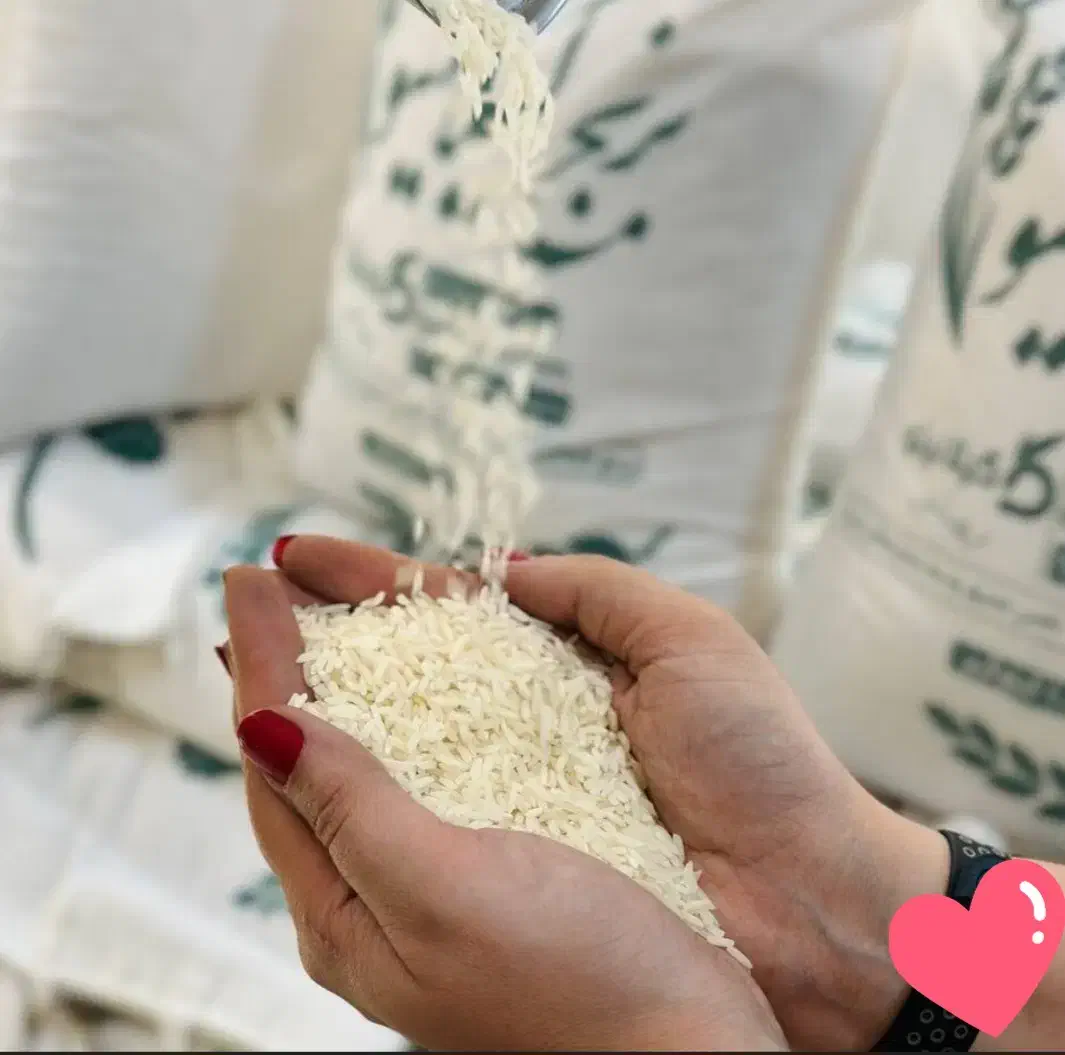 فروش برنج|خوردنی و آشامیدنی|بابل, |دیوار