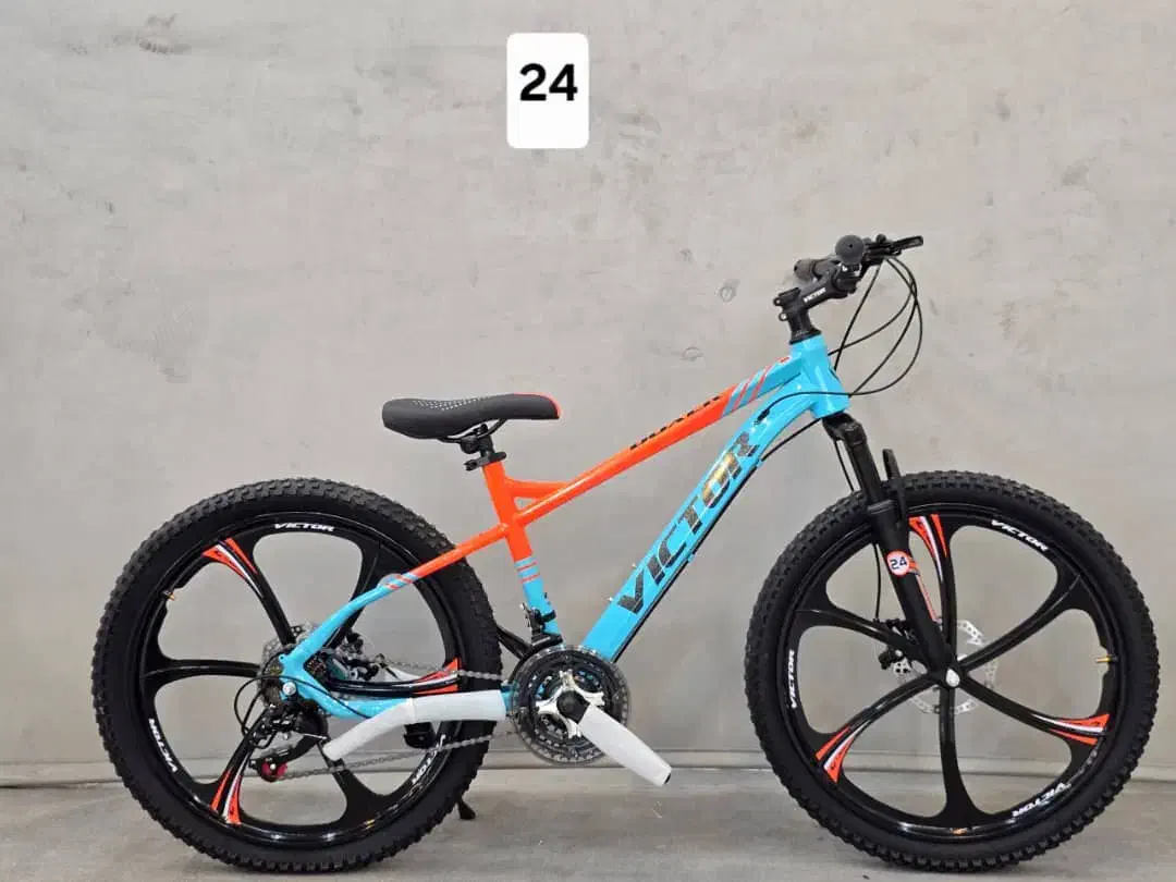 دوچرخه سایز ۲۴ویکتور|دوچرخه، اسکیت، اسکوتر|اصفهان, شاهزاده ابراهیم|دیوار