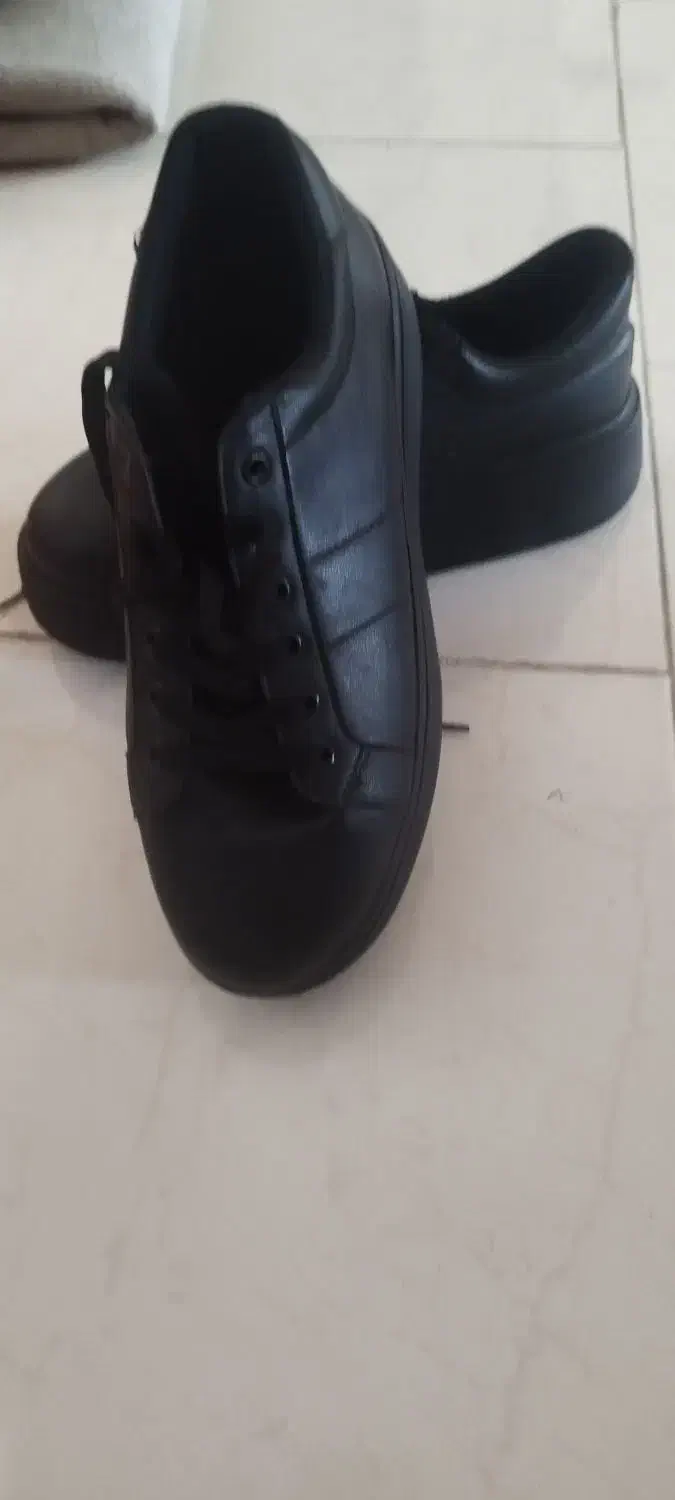 کفش زنانه|کیف، کفش، کمربند|قرچک, پویینک|دیوار