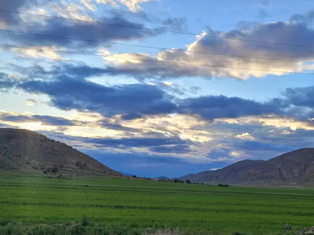 ۳ هکتار زمین کشاورزی مناسب سرمایه گذاری|فروش دفتر صنعتی، کشاورزی، تجاری|شیراز, گلستان|دیوار