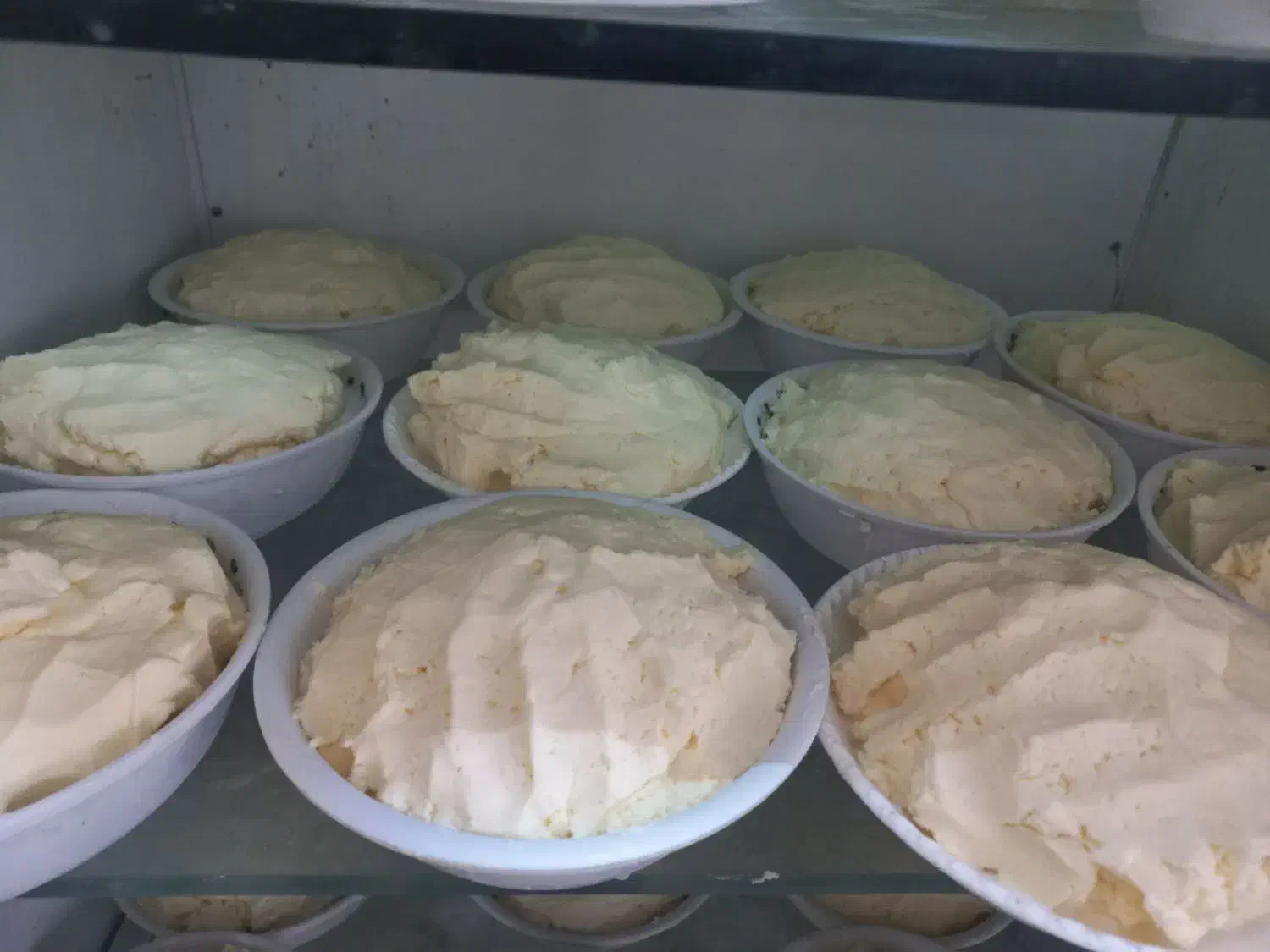 فروش تک وعمده|عمده‌فروشی|گلوگاه بابل (گلیا), |دیوار