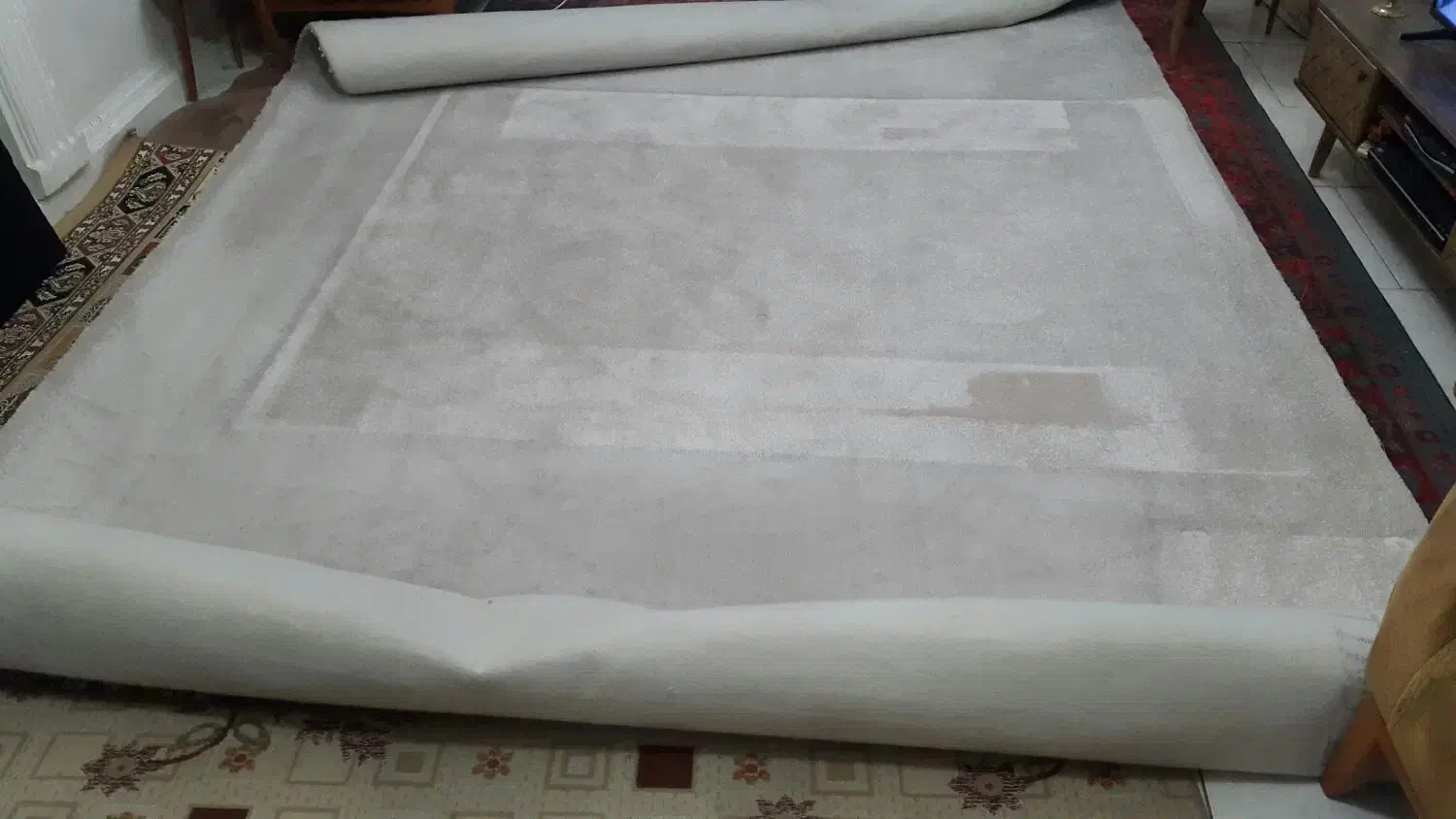 موکت 9متری پرز بلند|موکت|کرج, حصارک بالا|دیوار